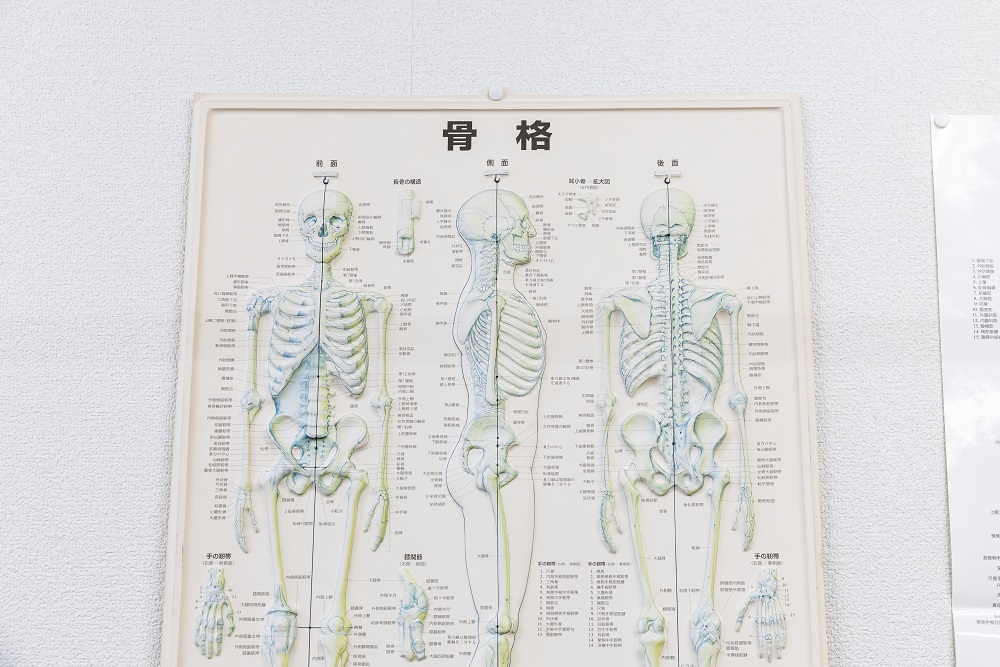 おくだクリニック