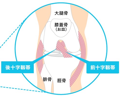 おくだクリニック